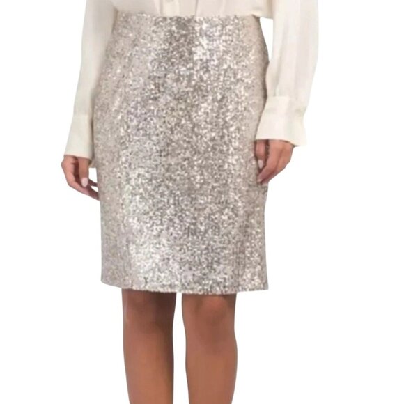 Cable & Gauge NWT Sequin Champaign Pencil Skirt Pull on Size L - Picture 1 of 10
